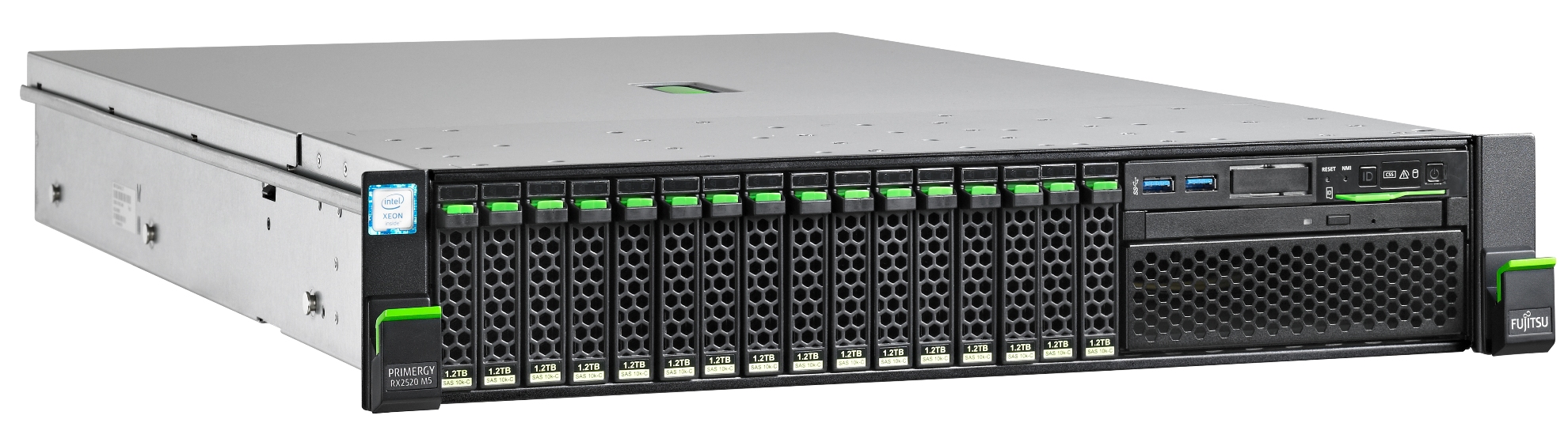 Fujitsu PRIMERGY RX2520 M5